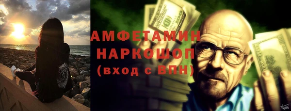 крисы Абаза