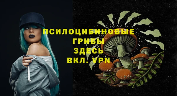крисы Абаза