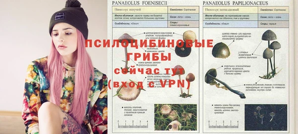 а пвп мука Абинск