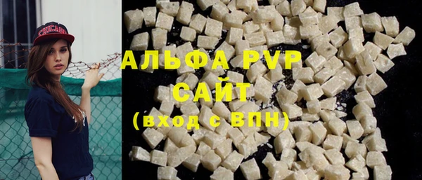 крисы Абаза