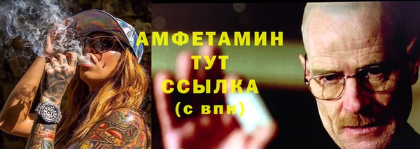 крисы Абаза