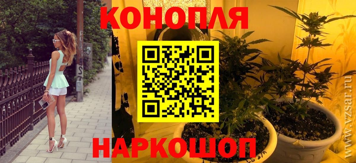 Бошки Шишки тримм  Бошки Шишки VHQ  Урус-Мартан  Конопля семена  Вход с VPN  Канабис Ganja 